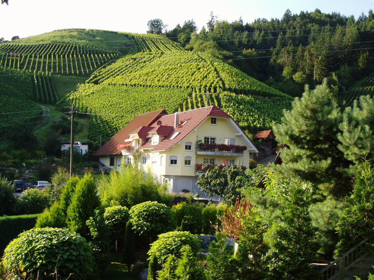 Holiday farm Mayer surrounded by vineyards