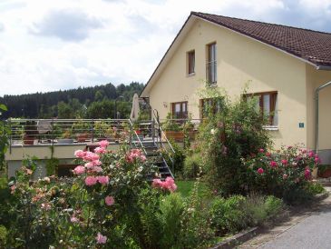 Ferienwohnung Falkenstein im Haus Hollerbusch