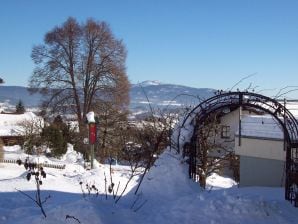 Ferienwohnung Falkenstein im Haus Hollerbusch - Zwiesel - image1