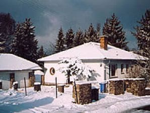 Holiday house Lense, with piano - Geisenheim - image1