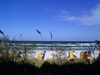 Holiday apartment Sierksdorf Environment 17