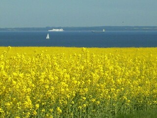 Holiday apartment Sierksdorf Environment 20