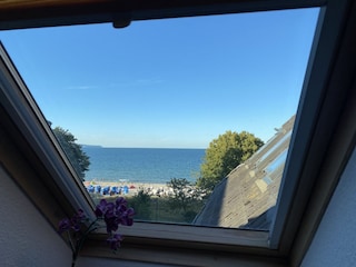 Blick gegenüber des Frühstücksplatzes