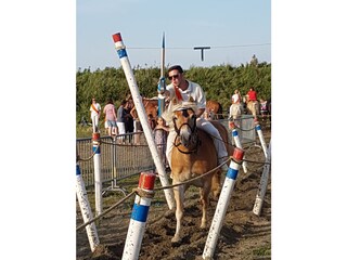 Chalet Serooskerke Ambiente 16