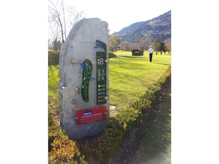 Chalet Piesendorf Omgeving 38