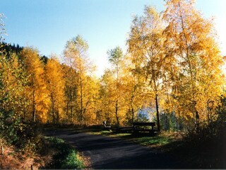 Herbst an der Talsperre