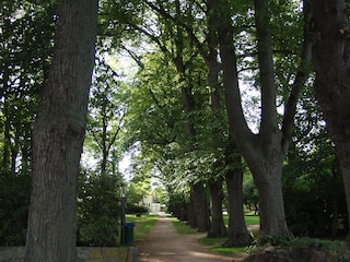 Burg auf Fehmarn, Stadtpark