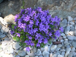 Vakantieappartement Auffach Buitenaudio-opname 9