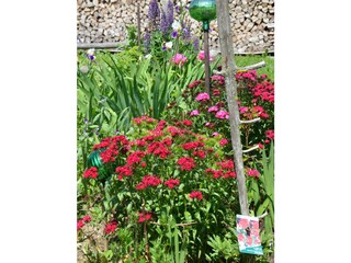 Vakantieappartement Auffach Buitenaudio-opname 11