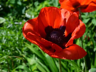 Appartamento per vacanze Auffach Ambiente 29