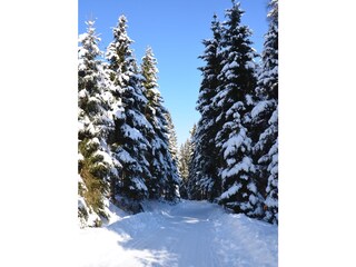 Holiday apartment Auffach Environment 34