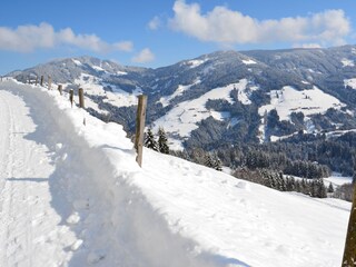 Appartamento per vacanze Auffach Ambiente 36