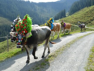 Appartamento per vacanze Auffach Ambiente 32