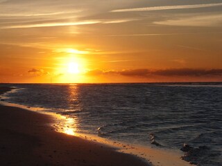 Ferienwohnung Juist Umgebung 34