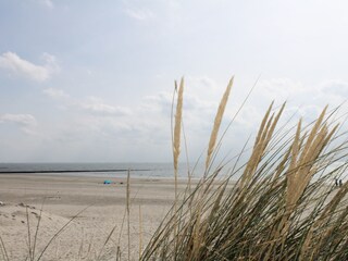 Appartamento per vacanze Borkum Ambiente 16