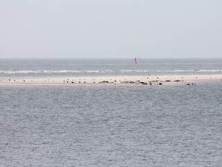 Appartamento per vacanze Borkum Ambiente 17