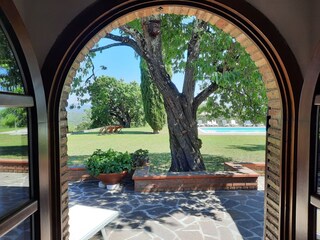 Appartamento per vacanze Toskana Registrazione all'aperto 6