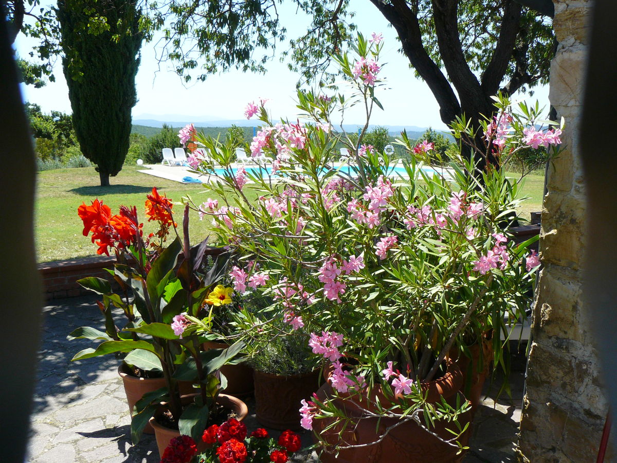 blühende Terrasse