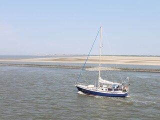 Vakantieappartement Borkum Omgeving 15