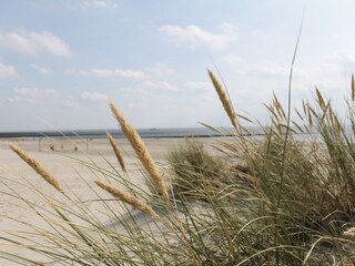Vakantieappartement Borkum Omgeving 17