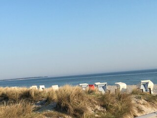 Prerower Bucht