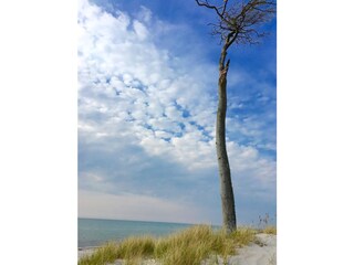 Am Weststrand