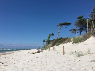 Am urwüchsigen Weststrand