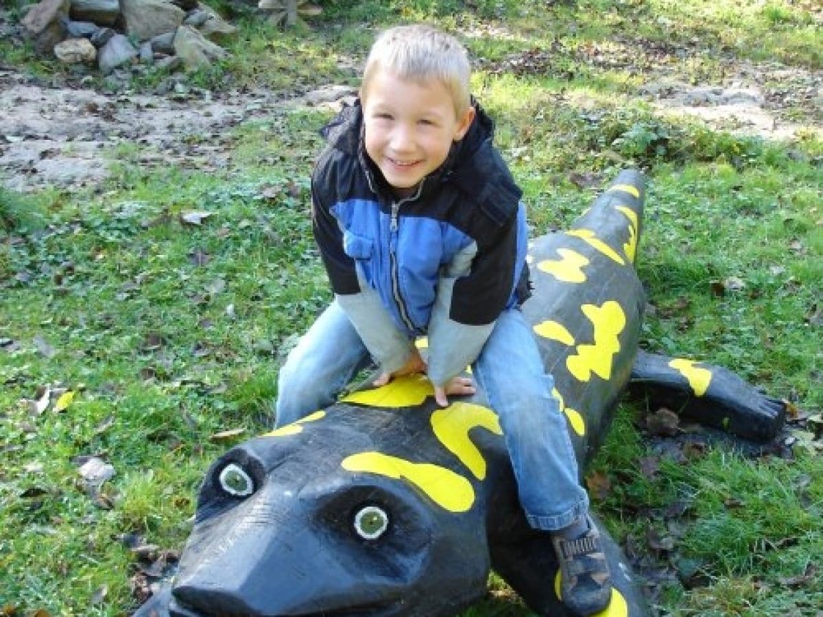 Feuersalamander im Naturpark