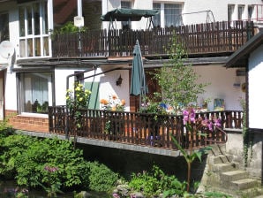 Holiday apartment Steinbock - Leutenberg - image1