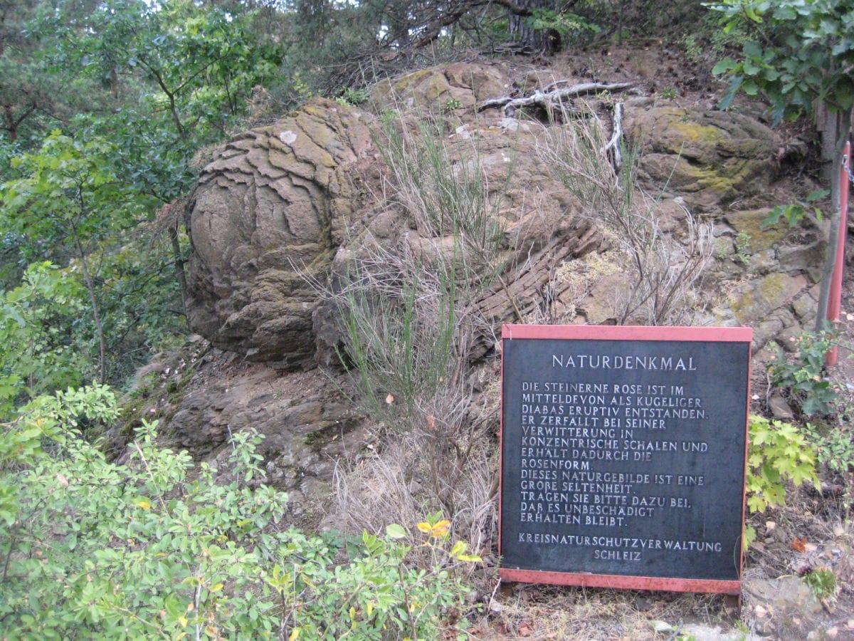 Steinerne Rose bei Saalburg