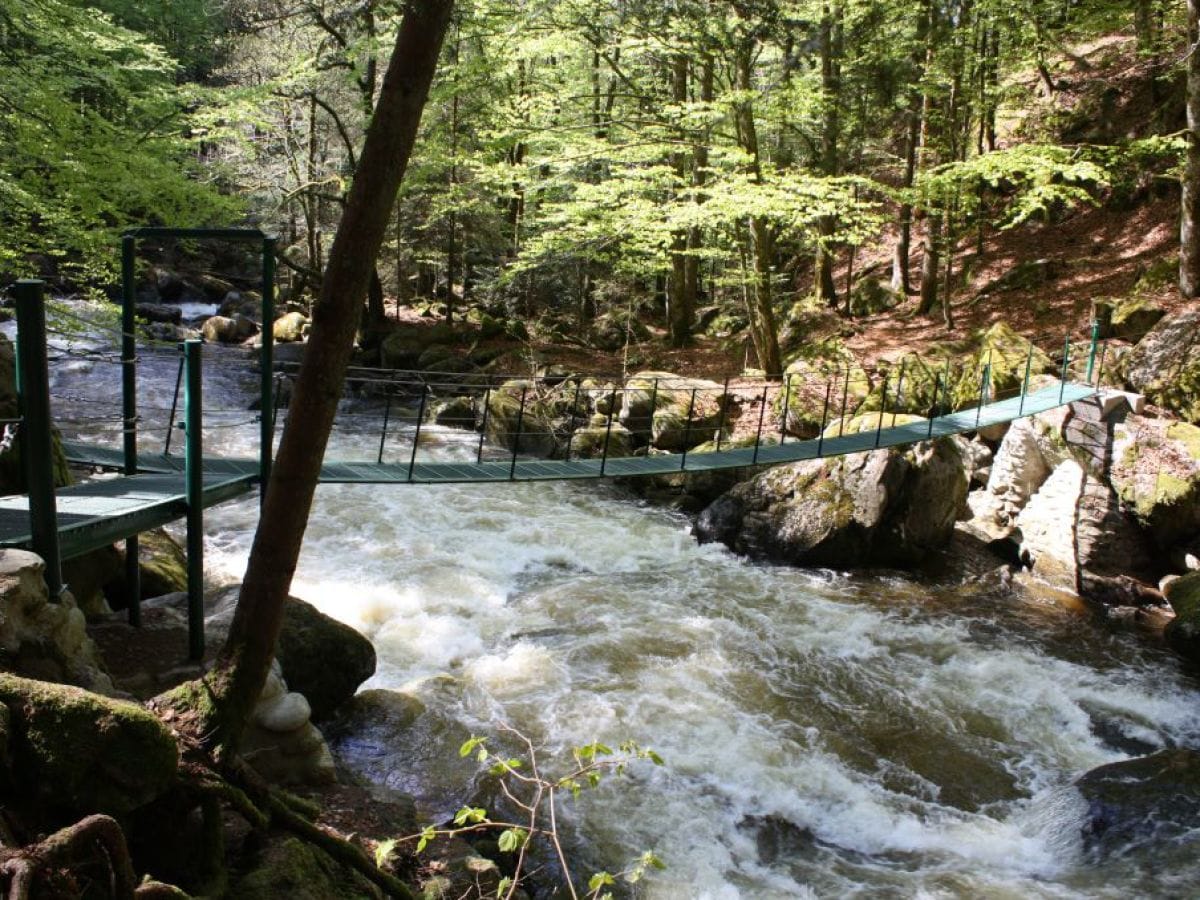 Wildbachklamm mit Hängebrücke