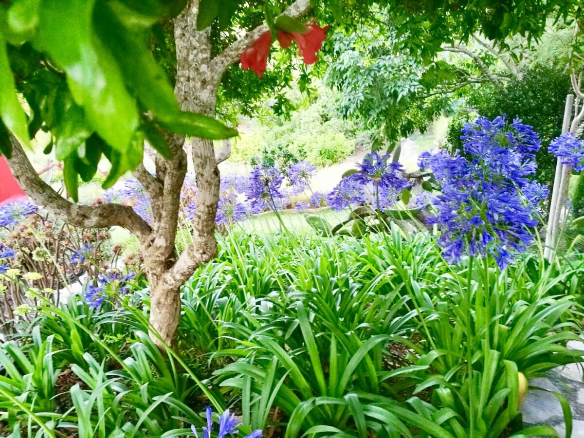 parkähnlich angelegter Garten zum entspannen