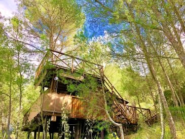 Ferienhaus Pinewood Lodge