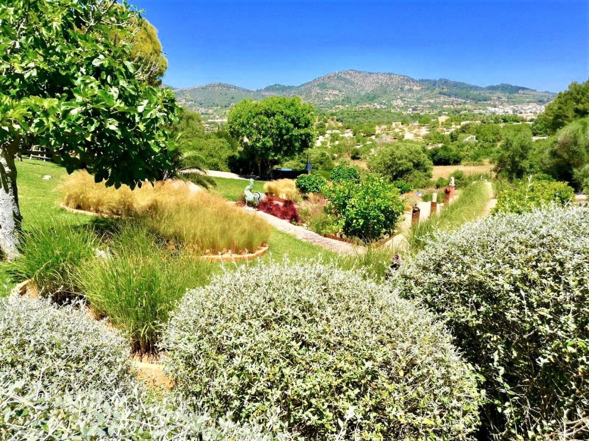 Gräsergarten mit Bergblick