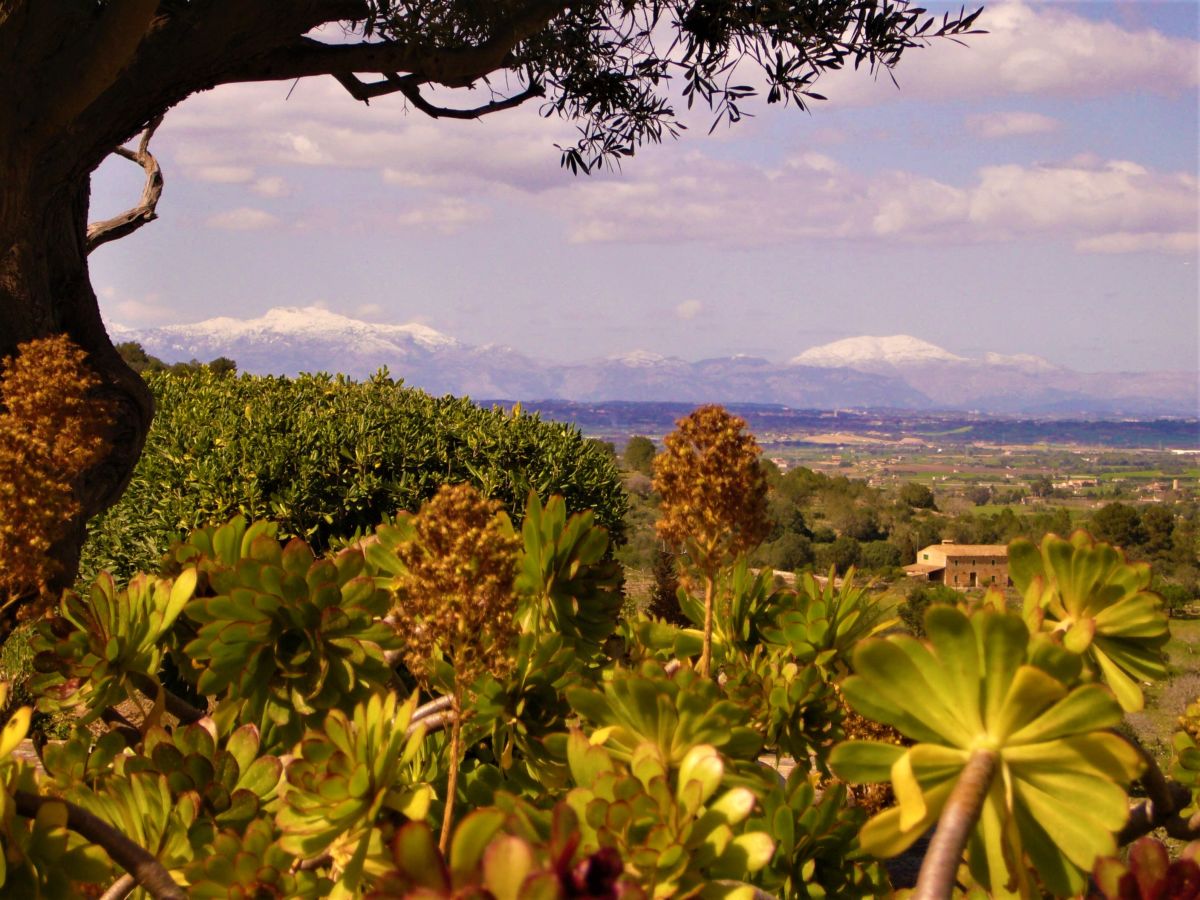 Weitblick zum Tramuntana Gebirge