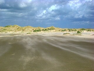 Ganz viel Natur auf Texel, zum Beispiel die Hors am Sud