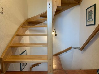 Strandmuschel-12