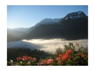 Herbstblick vom Balkon