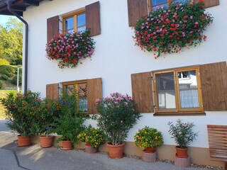 Holiday apartment Bad Hindelang Outdoor Recording 4