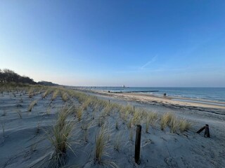 Holiday house Zingst Environment 30