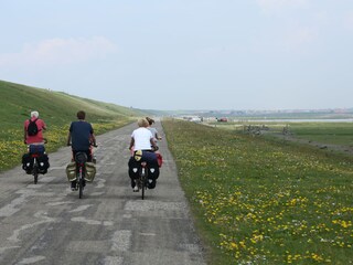 Radfahren entlang den Deich