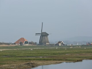 Mühle im Polder