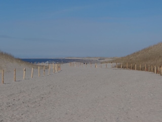 Holiday apartment Petten Environment 9