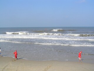 Holiday apartment Petten Environment 10