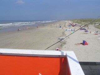 Holiday apartment Petten Environment 11
