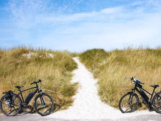Ferienhaus Zingst Umgebung 36