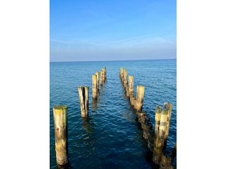 Ferienhaus Zingst Umgebung 45