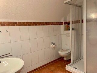 Seemöwe-19