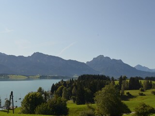 Allgäuer Alpen - Forggensee
