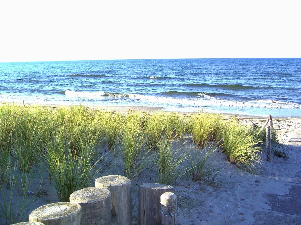 Strand Zingst